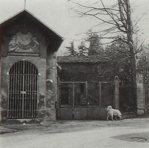 Villa Maria, già Vigna Grimaldi