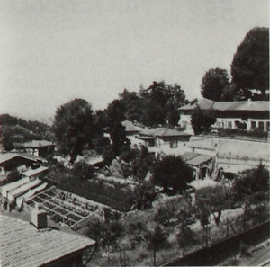 Villa Gemma, già Vigna Benedicti