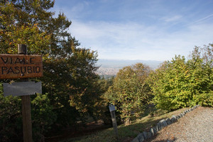 Viale Pasubio (parco della Rimembranza). Fotografia di Roberto Goffi, 2010. © MuseoTorino.