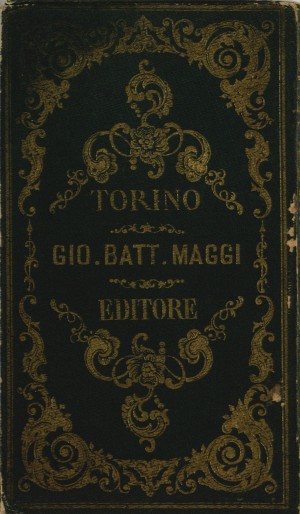 Torino nel 1861. Biblioteca civica centrale, Cartografico 3/4.13.04 © Biblioteche civiche torinesi