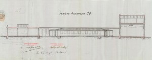 Sezione trasversale CD - progetto edilizio stabilimento Società Officine Dubosc/Santonè (ASCT, PE I cat. 1906/442)