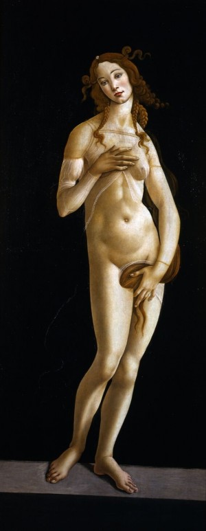 Sandro Botticelli, Venere, circa 1485-1490. 
Torino, Musei Reali - Galleria Sabauda

