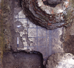 Un piccolo tratto della pavimentazione a mosaico con reticolo nero al momento della scoperta, © Soprintendenza per i Beni Archeologici del Piemonte e del Museo Antichità Egizie.