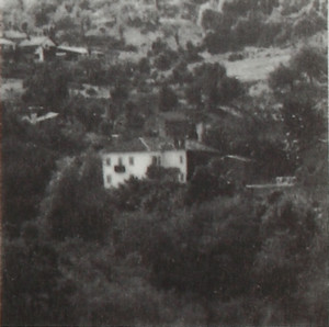 Tetti Goffi