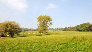 Sella dell’Eremo dei Camaldolesi e Pecetto Torinese