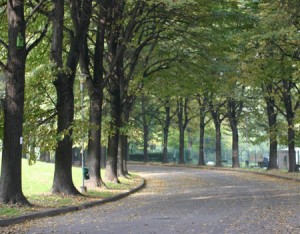 Parco della Pellerina (Parco Mario Carrara; parco Vittime del rogo del 6 dicembre 2007 nello stabilimento della Thyssenkrupp)