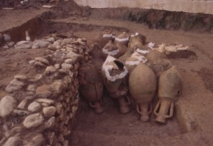 Bonifiche e drenaggi del terreno