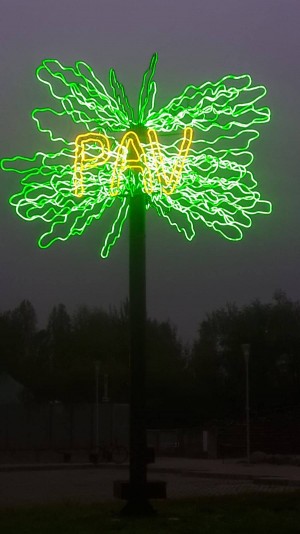 Luci d’Artista Piero Gilardi “L'albero del PAV”. Fotografia 2020