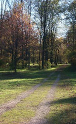 Passeggiando a Mirafiori sud, sponda sinistra del Sangone