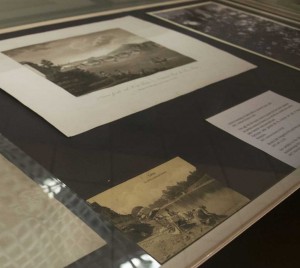 Une vitrine de l'exposition 