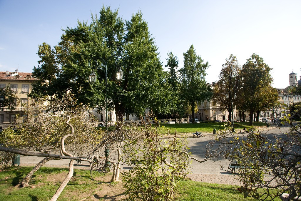 Giardini Cavour Gia Parte Dei Giardini Dei Ripari Museotorino