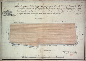 Vendita di stabili dalla Città di Torino con Planimetria dei terreni siti in Borgo Nuovo, 1834. Biblioteca civica centrale, Cartografico 8/8.6.13 © Biblioteche civiche torinesi