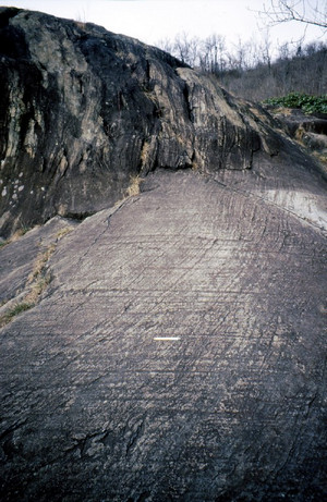 Le rocce montonate in località Pietra Piana ad Avigliana