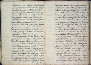 Vendita di stabili dalla Città di Torino con Planimetria dei terreni siti in Borgo Nuovo, 1834, f.7 Biblioteca civica centrale, Cartografico  8/8.6.07 © Biblioteche civiche torinesi