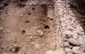 Bric San Vito. La capanna A (buche di palo, focolare e piano d’uso) in corso di scavo, © Soprintendenza per i Beni Archeologici del Piemonte e del Museo Antichità Egizie.