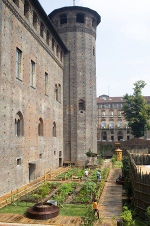 Giardino medievale di Palazzo Madama. Fotografia di Bruna Biamino, 2011. © Fondazione Torino Musei