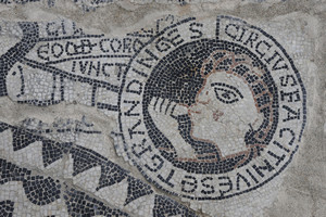 Mosaico di San Salvatore. Fotografia di Paolo Gonella, 2010. © Soprintendenza per i Beni Archeologici del Piemonte e del Museo Antichità Egizie