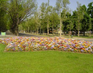 Parco Ruffini, aiuola fiorita all’ingresso principale di Corso Trapani. 