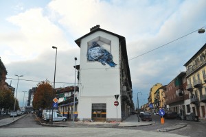 Il fronte cieco della “casa Hänhel” sull’angolo tra via Giachino e corso Brin, con l’enorme piccione opera di Mauro Fassino. Fotografia di Mauro Fassino.