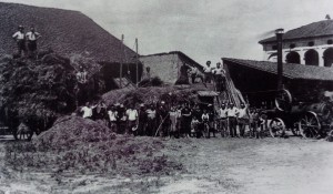 Cascina Fossata. Trebbiatura sull'aia, intorno al 1930