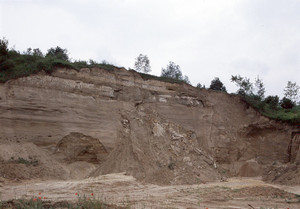 I sedimenti di ambiente fluvio-lacustre dell’area-tipo di Villafranca d’Asti