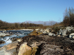 Foresta fossile di Nole Canavese