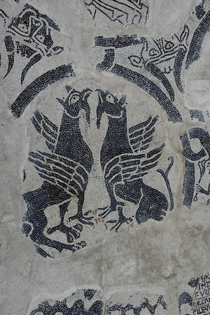 Mosaico di San Salvatore. Fotografia di Paolo Gonella, 2010. © Soprintendenza per i Beni Archeologici del Piemonte e del Museo Antichità Egizie