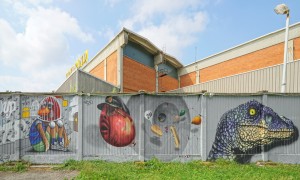 ENCS, murales senza titolo, giardinetti dell'ex cascina Marchesa, via Cigna. Fotografia di Roberto Cortese, 2018 © Archivio Storico della Città di Torino