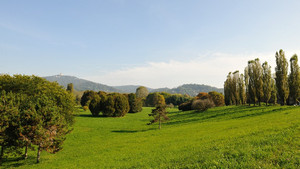 Il parco Colletta