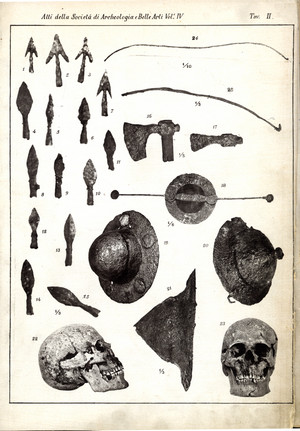 Armi e crani da Testona riprodotti nella tavola II della pubblicazione dei Calandra del 1880.