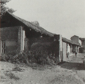 TRE TETTI NIGRA. Fotografia dei primi anni Ottanta del Novecento