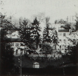 Villa Cortellazzi, già Pallavicino