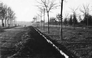 Strada alberata sterrata e cimitero sullo sfondo, via Carcano, anni Cinquanta del Novecento. Fotografia dell'Archivio Storico della Città di Torino (FT 12C04_004)
