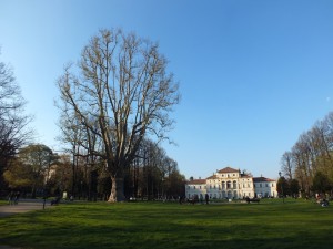 Parco della Tesoriera, albero secolare e villa. Fotografia di Paola Boccalatte, 2014. © MuseoTorino