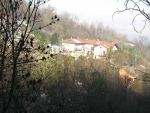 Tetti Forni