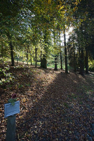 Scorcio del parco della Rimembranza. Fotografia di Roberto Goffi, 2010. © MuseoTorino.