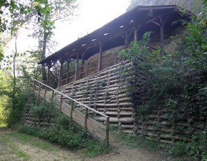 Accesso attrezzato agli affioramenti dello strato a Isognomon maxillatus nella Riserva Naturale Speciale di Valleandona e Valle Botto. Fotografia di Giulio Pavia, 2009.