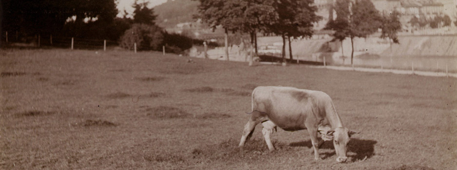 Parco del Valentino