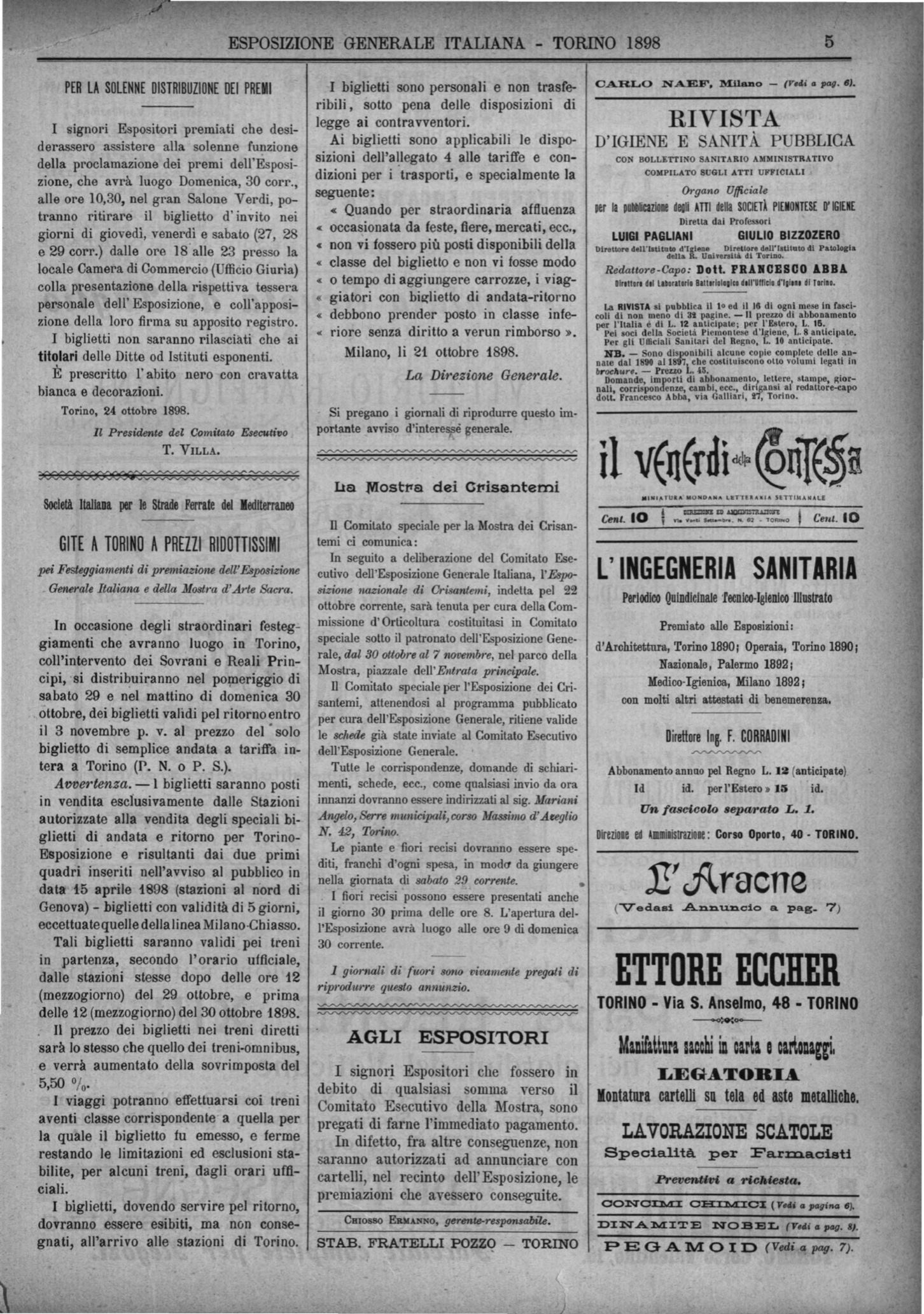Page Background