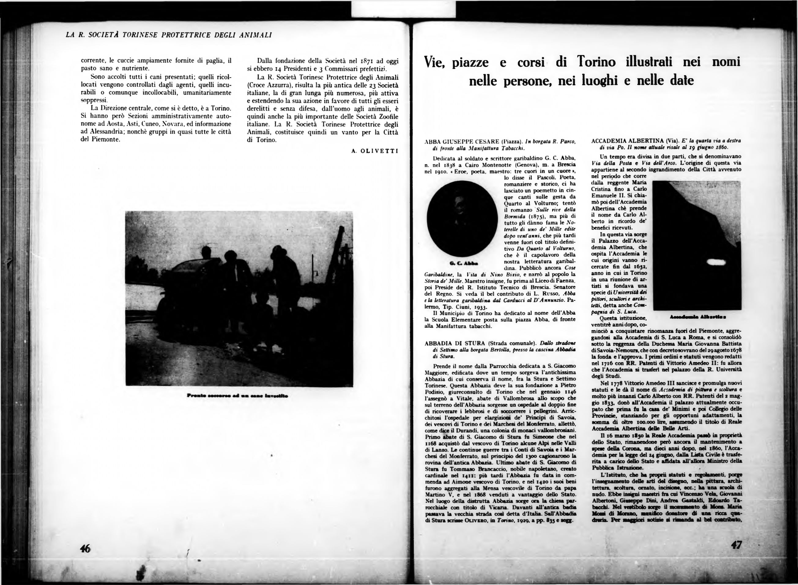 Page Background