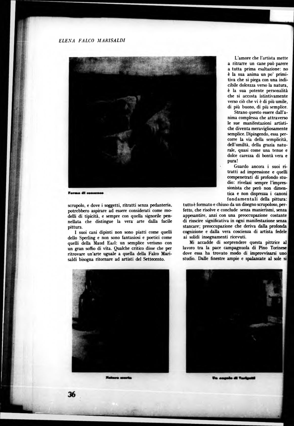 Page Background
