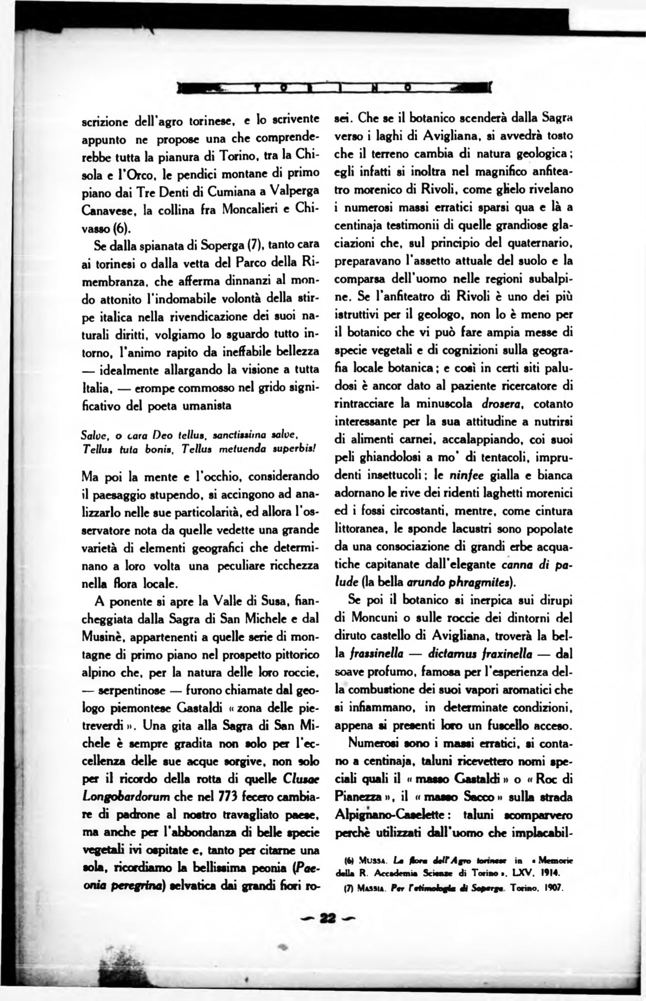 Page Background