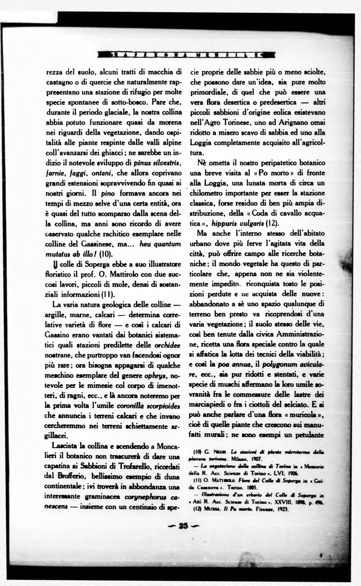 Page Background