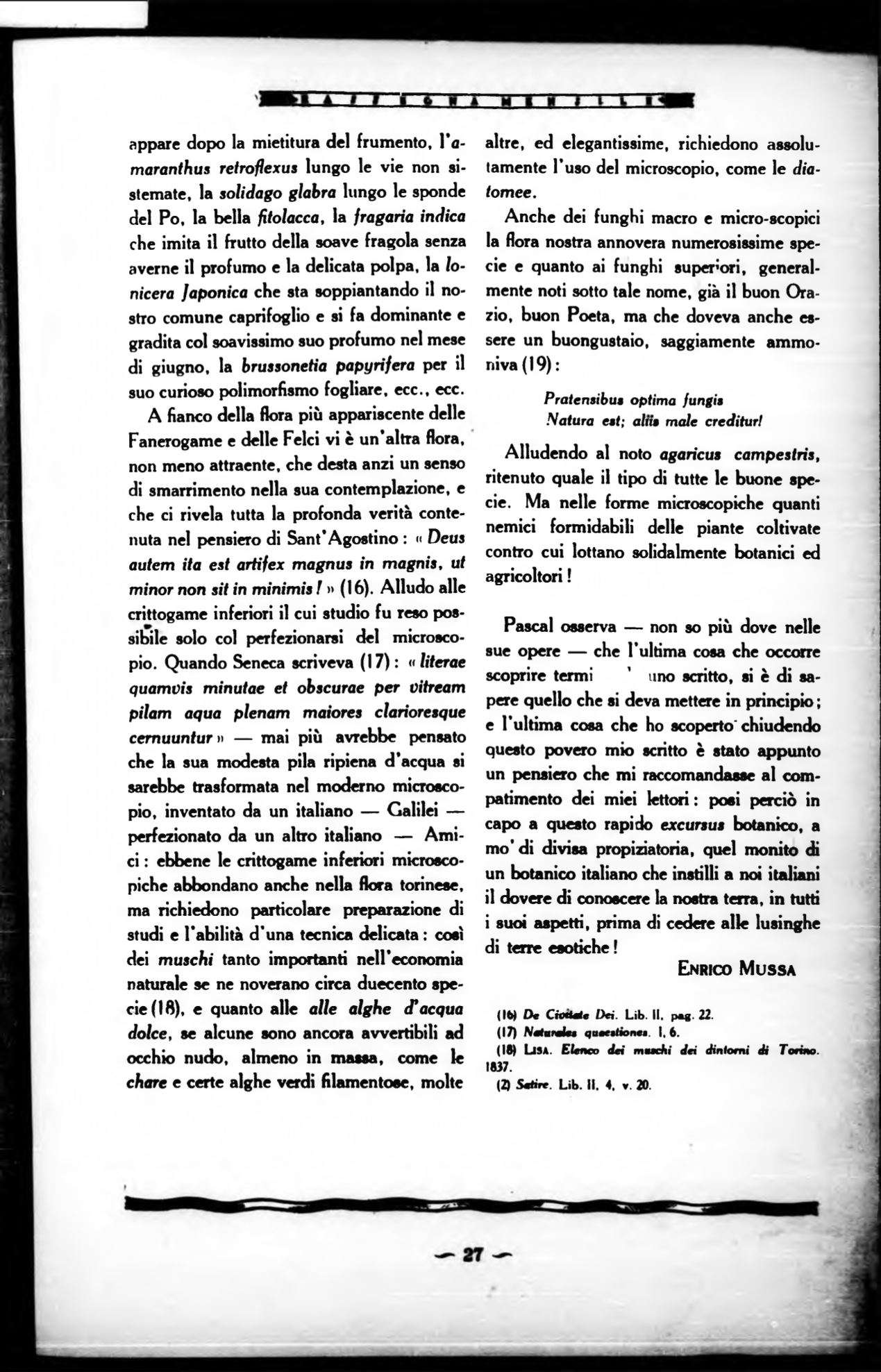 Page Background