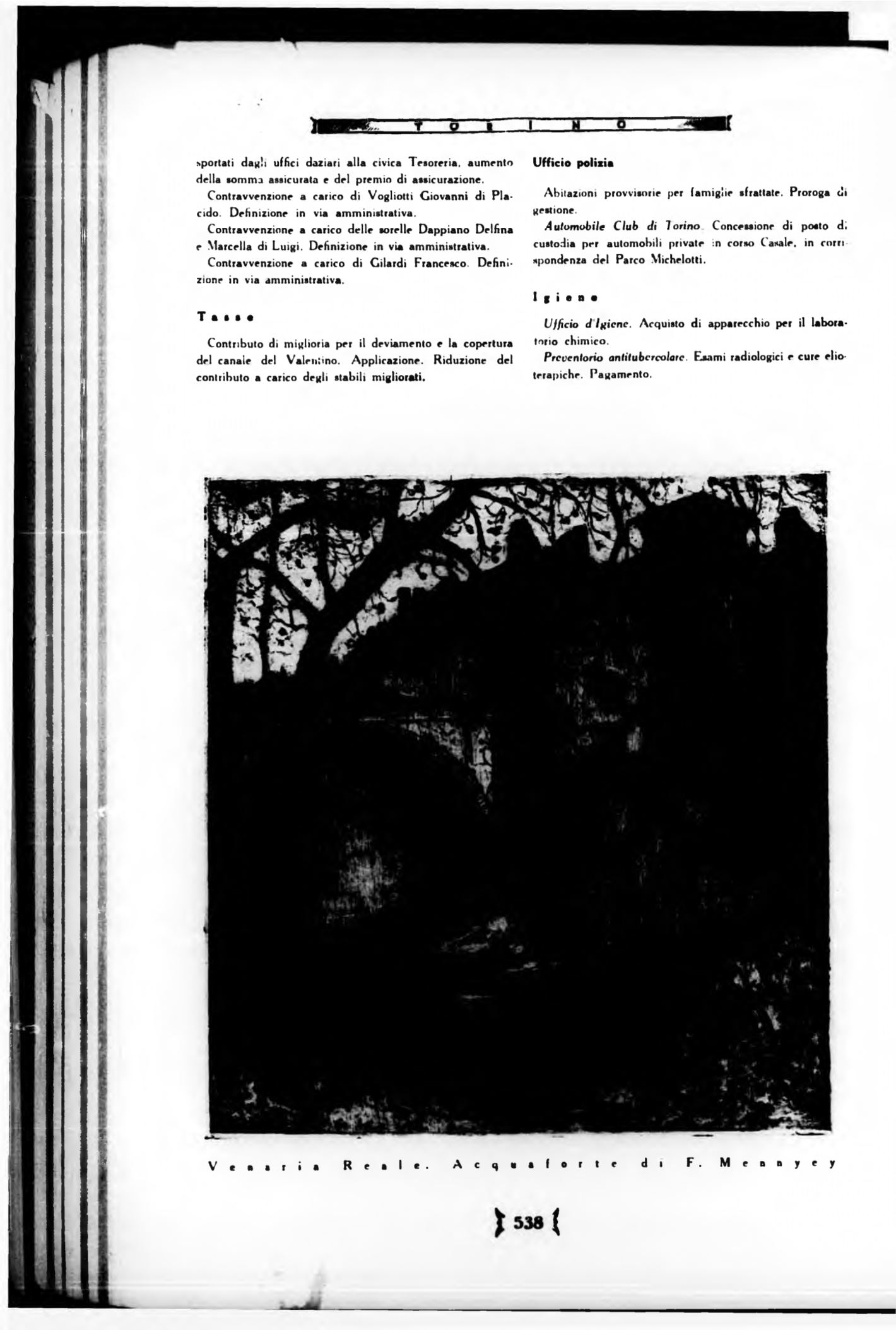 Page Background