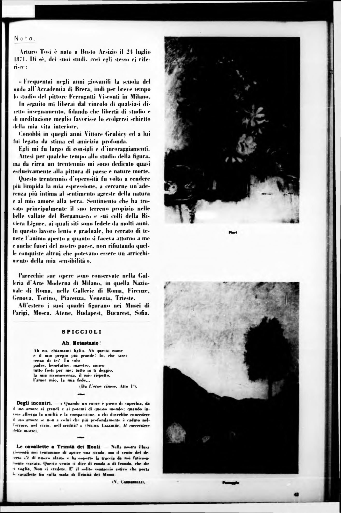 Page Background