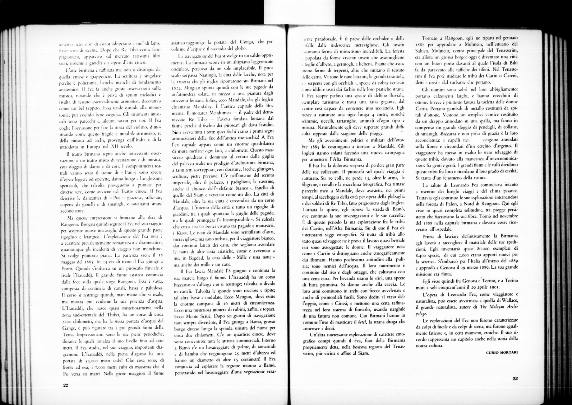 Page Background